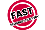 Fast Reliable Recovery